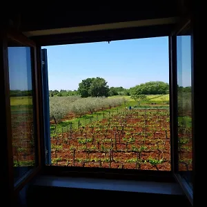 Apartament And Hacienda Stelio, Poreč